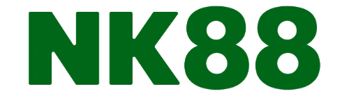 20NK88